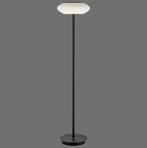 Lampadaire Paul Neuhaus Q-Etienne Led Noir, 1 Lumiere, Telecommandes