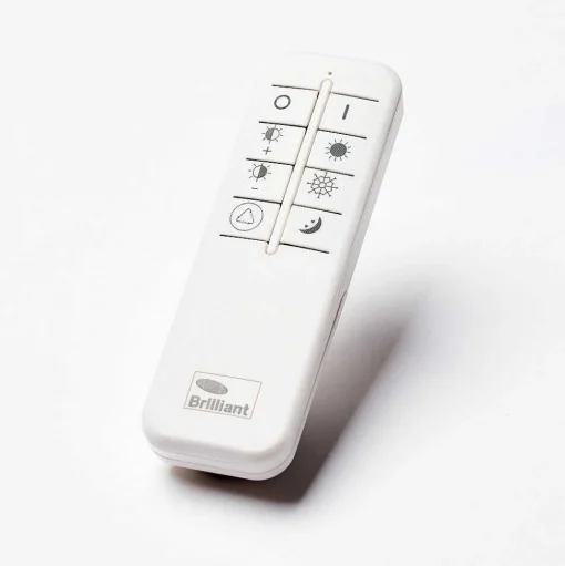 Plafonnier Brilliant Leanna Led Blanc, 1 Lumiere, Telecommandes, Changeur De Couleurs